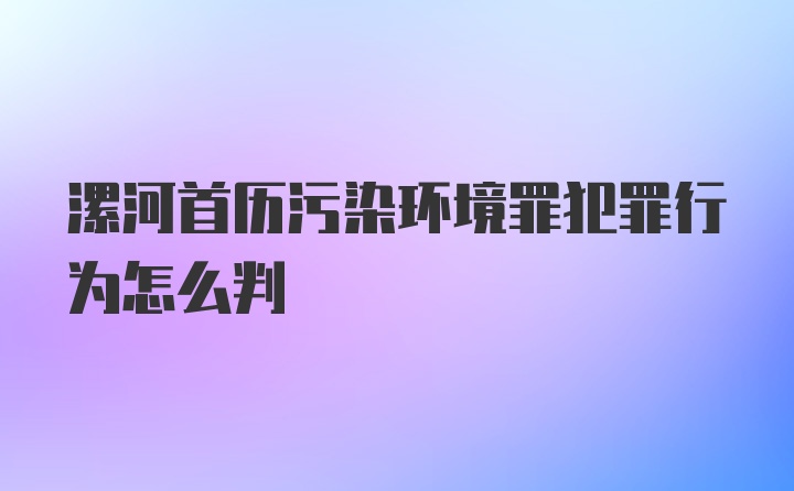 漯河首历污染环境罪犯罪行为怎么判