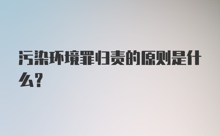 污染环境罪归责的原则是什么？