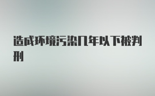 造成环境污染几年以下被判刑