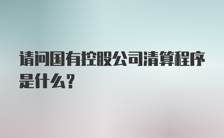 请问国有控股公司清算程序是什么？