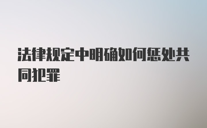 法律规定中明确如何惩处共同犯罪