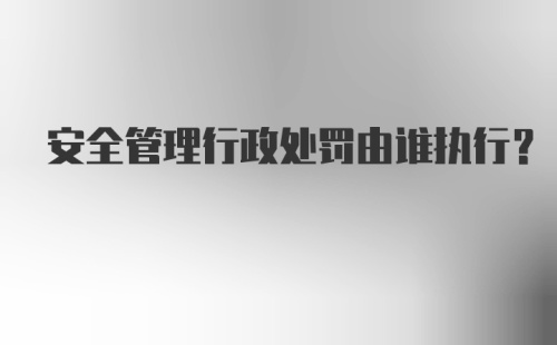 安全管理行政处罚由谁执行？