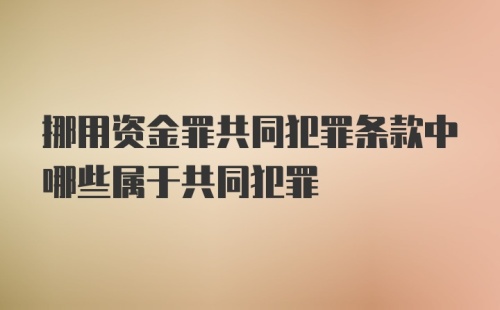 挪用资金罪共同犯罪条款中哪些属于共同犯罪