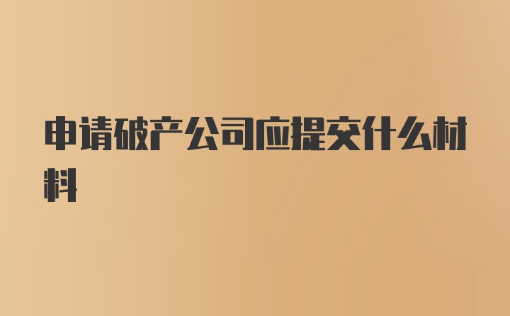 申请破产公司应提交什么材料