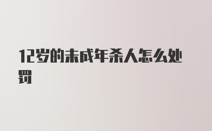 12岁的未成年杀人怎么处罚