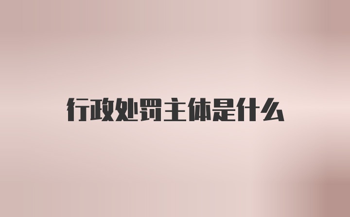 行政处罚主体是什么