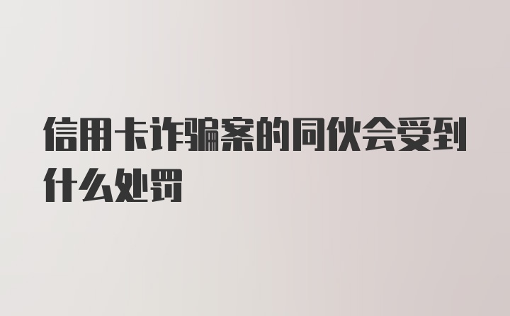 信用卡诈骗案的同伙会受到什么处罚