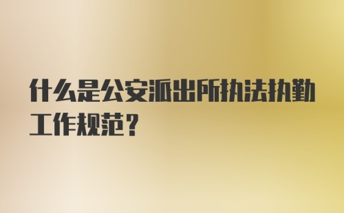 什么是公安派出所执法执勤工作规范？