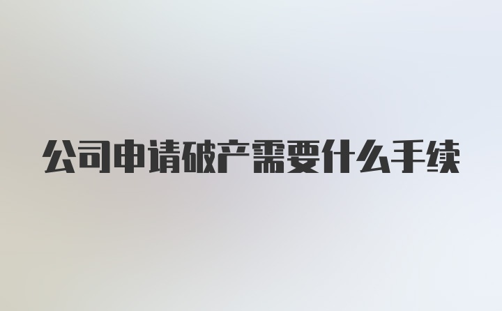 公司申请破产需要什么手续