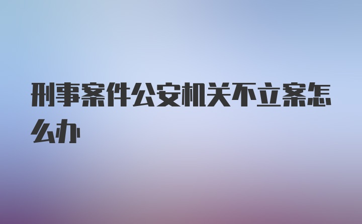 刑事案件公安机关不立案怎么办