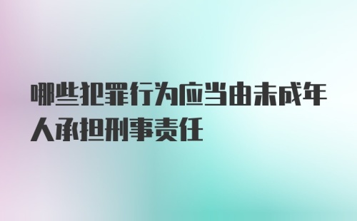 哪些犯罪行为应当由未成年人承担刑事责任