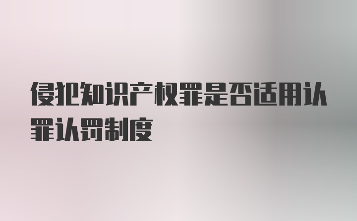 侵犯知识产权罪是否适用认罪认罚制度