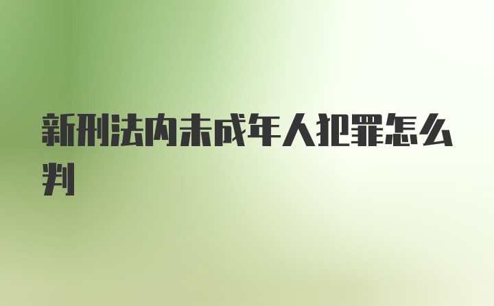 新刑法内未成年人犯罪怎么判