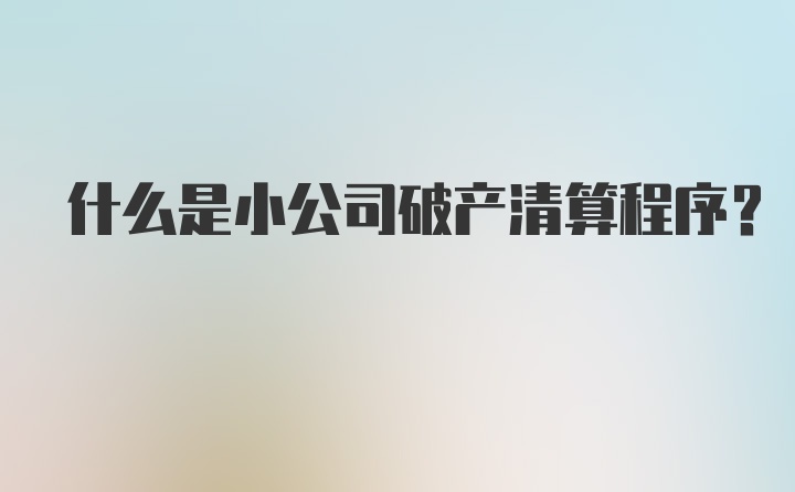 什么是小公司破产清算程序？