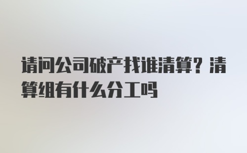 请问公司破产找谁清算？清算组有什么分工吗