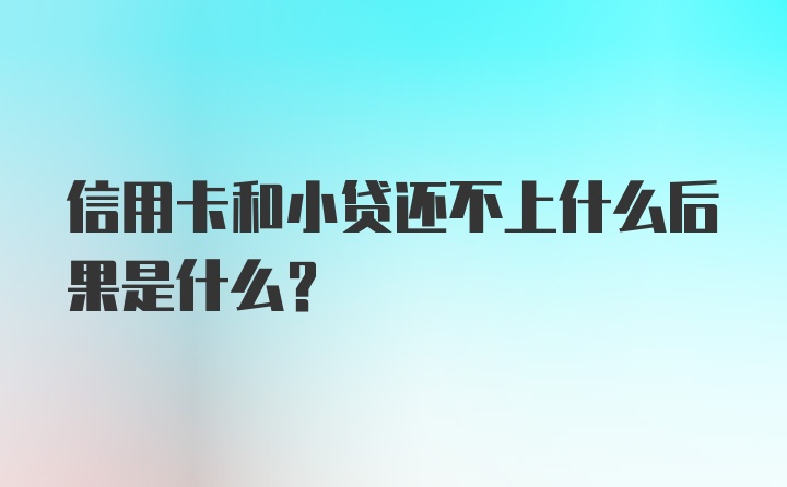 信用卡和小贷还不上什么后果是什么？