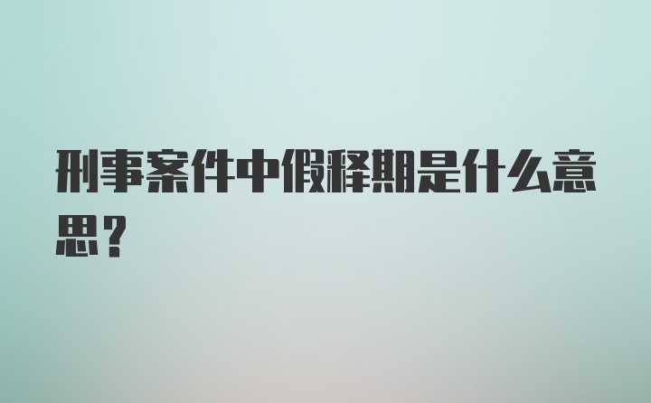 刑事案件中假释期是什么意思？