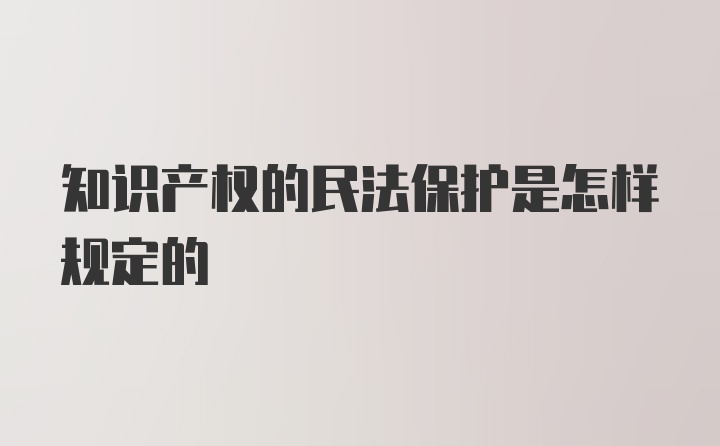 知识产权的民法保护是怎样规定的