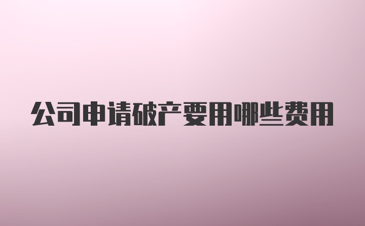 公司申请破产要用哪些费用