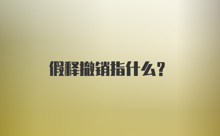 假释撤销指什么？