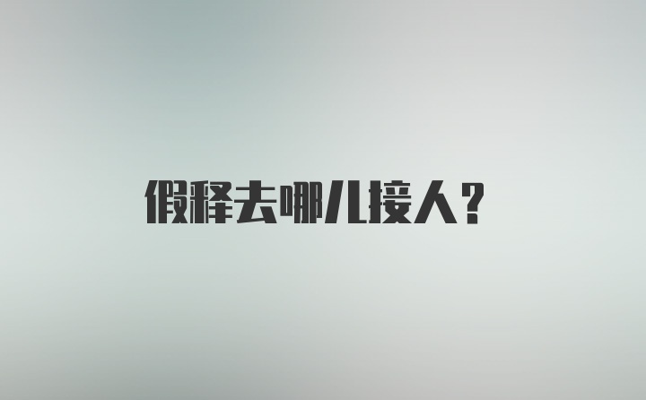 假释去哪儿接人？