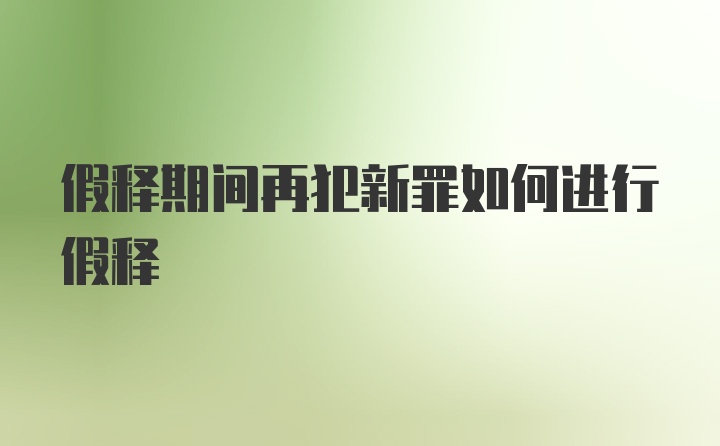 假释期间再犯新罪如何进行假释