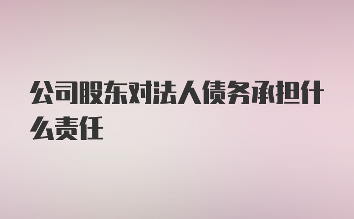 公司股东对法人债务承担什么责任