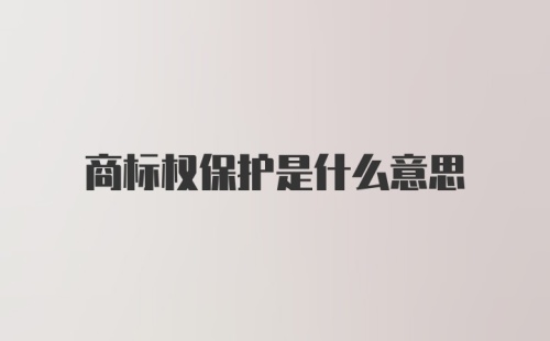 商标权保护是什么意思