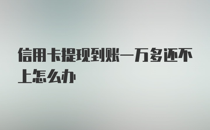 信用卡提现到账一万多还不上怎么办