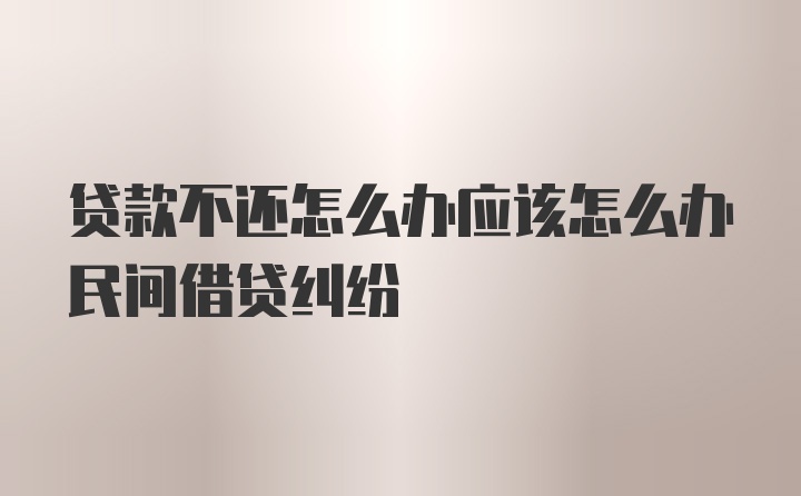 贷款不还怎么办应该怎么办民间借贷纠纷