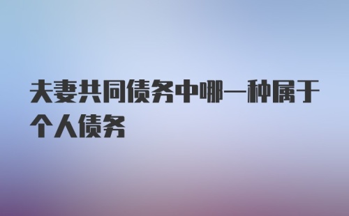 夫妻共同债务中哪一种属于个人债务