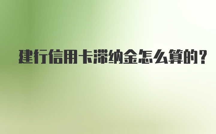 建行信用卡滞纳金怎么算的？