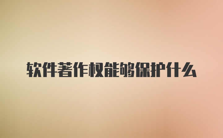 软件著作权能够保护什么