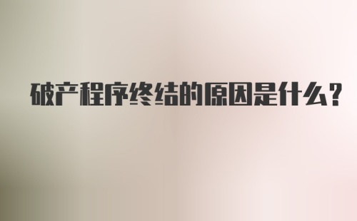 破产程序终结的原因是什么？