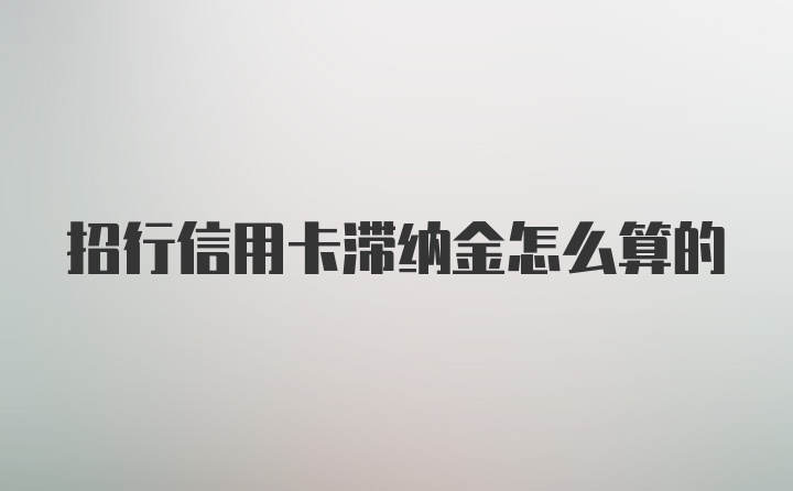 招行信用卡滞纳金怎么算的