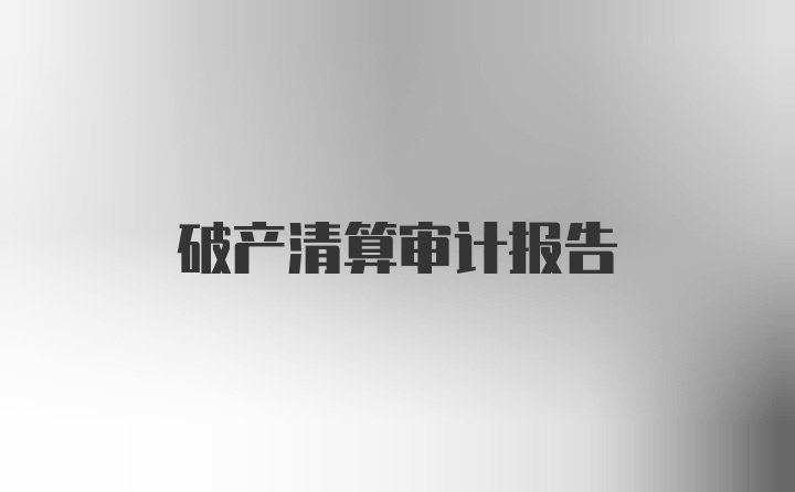 破产清算审计报告