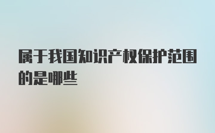 属于我国知识产权保护范围的是哪些