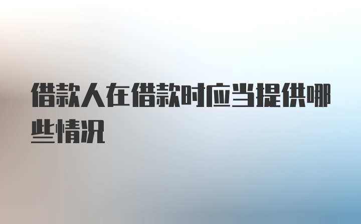 借款人在借款时应当提供哪些情况