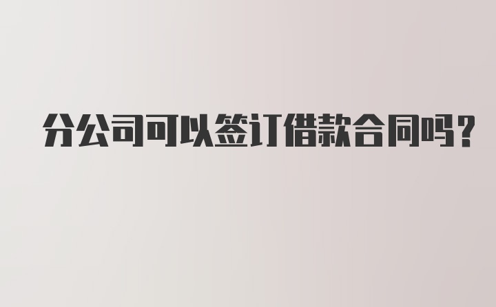 分公司可以签订借款合同吗？