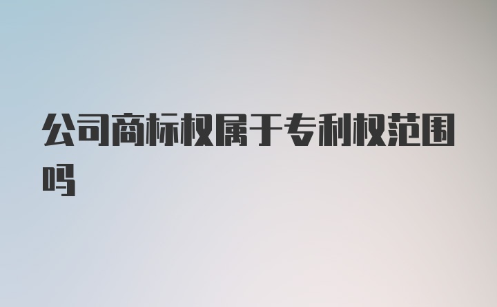 公司商标权属于专利权范围吗