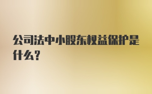 公司法中小股东权益保护是什么？