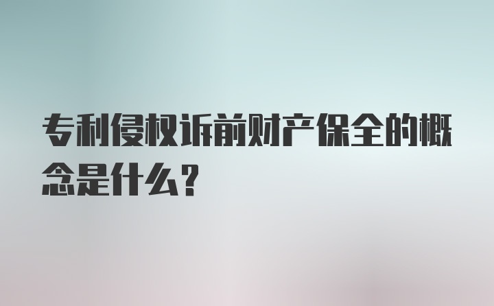 专利侵权诉前财产保全的概念是什么?