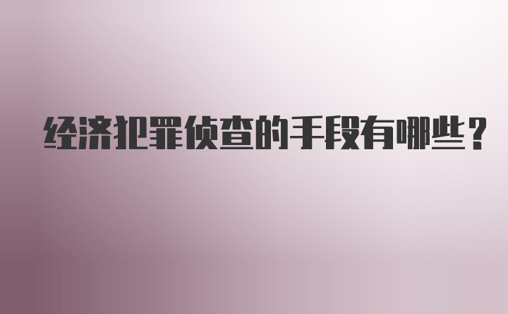 经济犯罪侦查的手段有哪些？