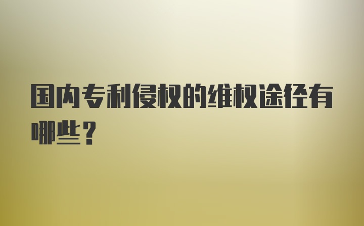 国内专利侵权的维权途径有哪些？