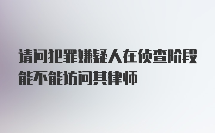 请问犯罪嫌疑人在侦查阶段能不能访问其律师