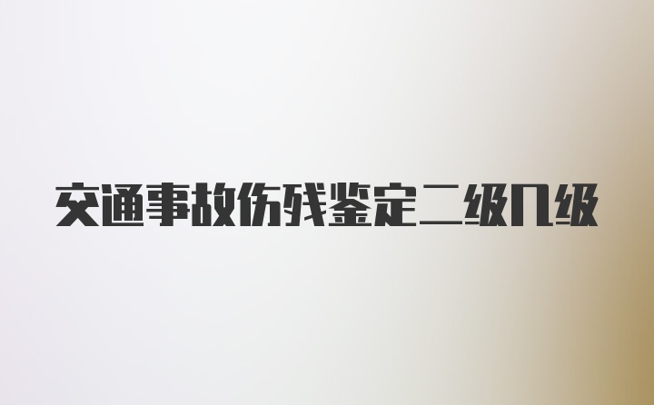 交通事故伤残鉴定二级几级