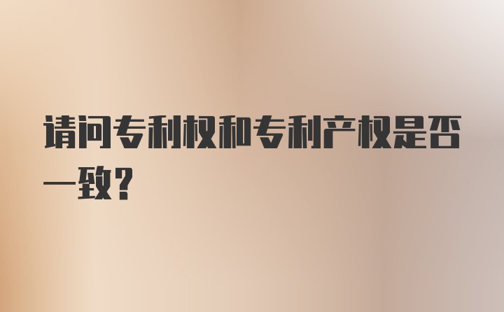 请问专利权和专利产权是否一致？