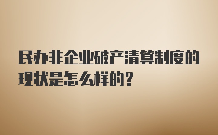 民办非企业破产清算制度的现状是怎么样的?