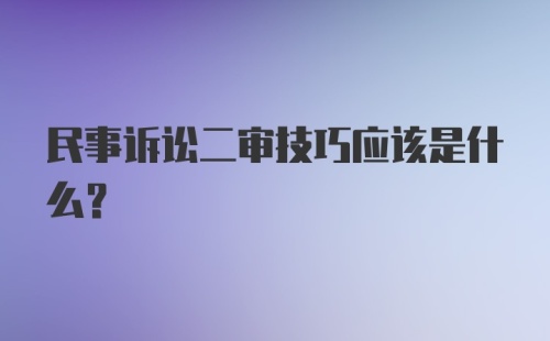 民事诉讼二审技巧应该是什么?