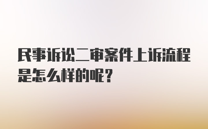 民事诉讼二审案件上诉流程是怎么样的呢？